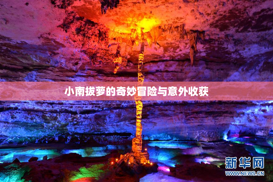 小南拔萝的奇妙冒险与意外收获