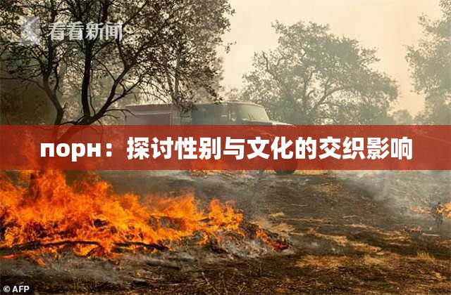 порн：探讨性别与文化的交织影响