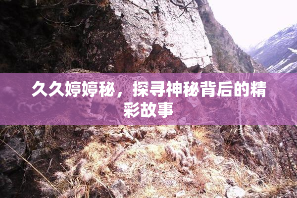久久婷婷秘，探寻神秘背后的精彩故事