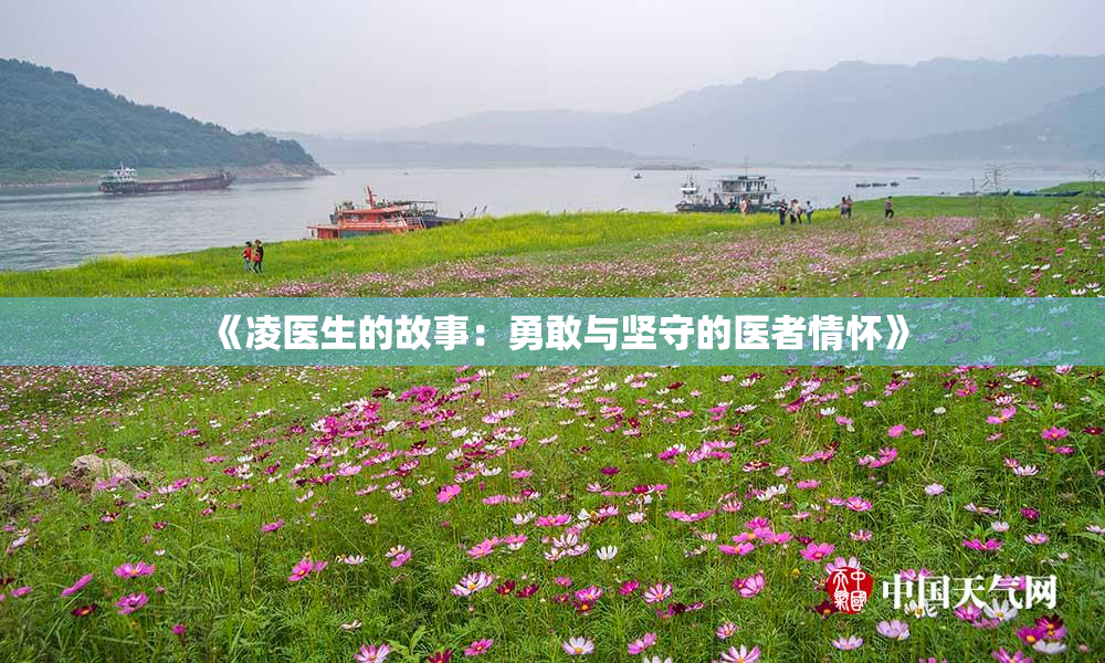 《凌医生的故事：勇敢与坚守的医者情怀》