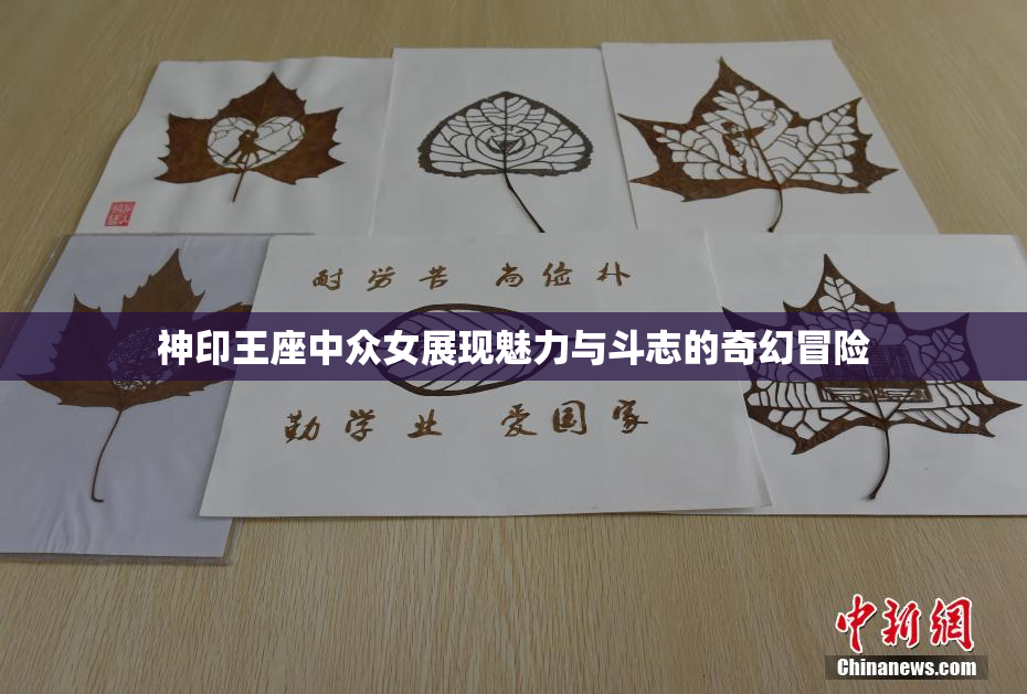 神印王座中众女展现魅力与斗志的奇幻冒险