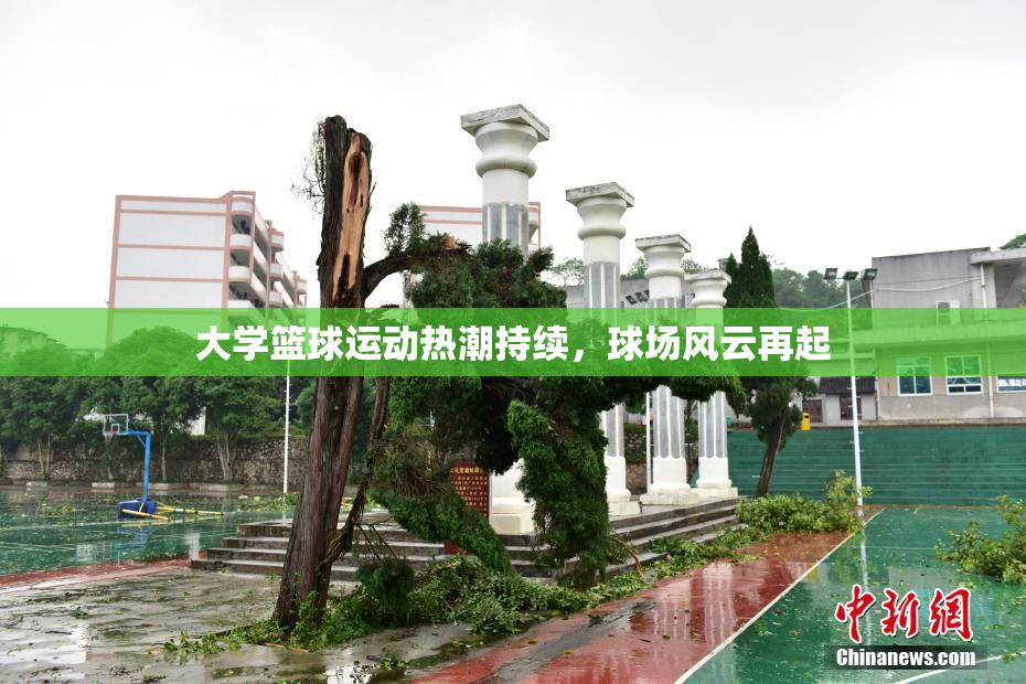 大学篮球运动热潮持续，球场风云再起