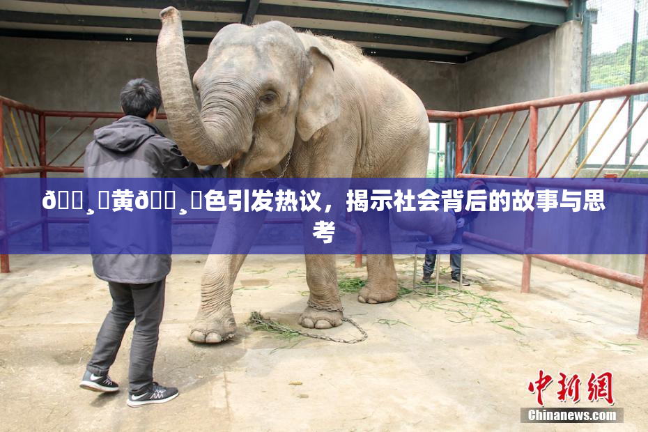 🌸‌黄🌸‌色引发热议，揭示社会背后的故事与思考