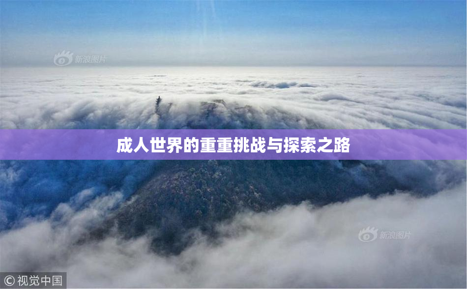 成人世界的重重挑战与探索之路