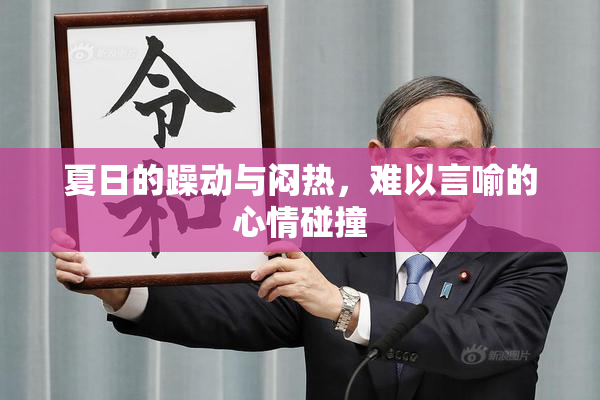 夏日的躁动与闷热，难以言喻的心情碰撞