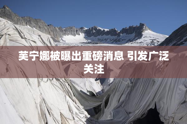 芙宁娜被曝出重磅消息 引发广泛关注