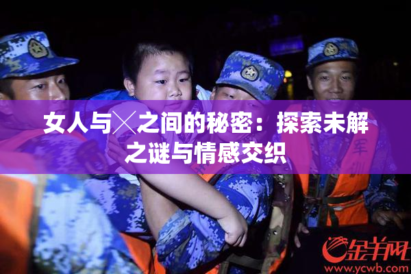 女人与╳之间的秘密：探索未解之谜与情感交织
