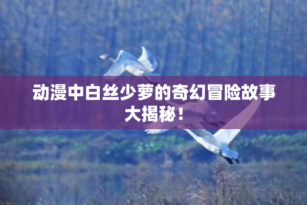 动漫中白丝少萝的奇幻冒险故事大揭秘！