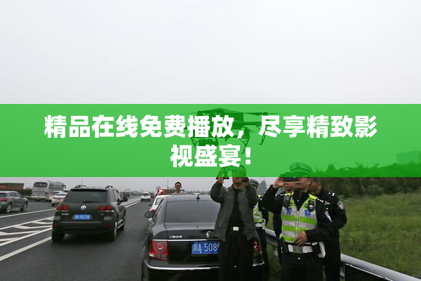 精品在线免费播放，尽享精致影视盛宴！