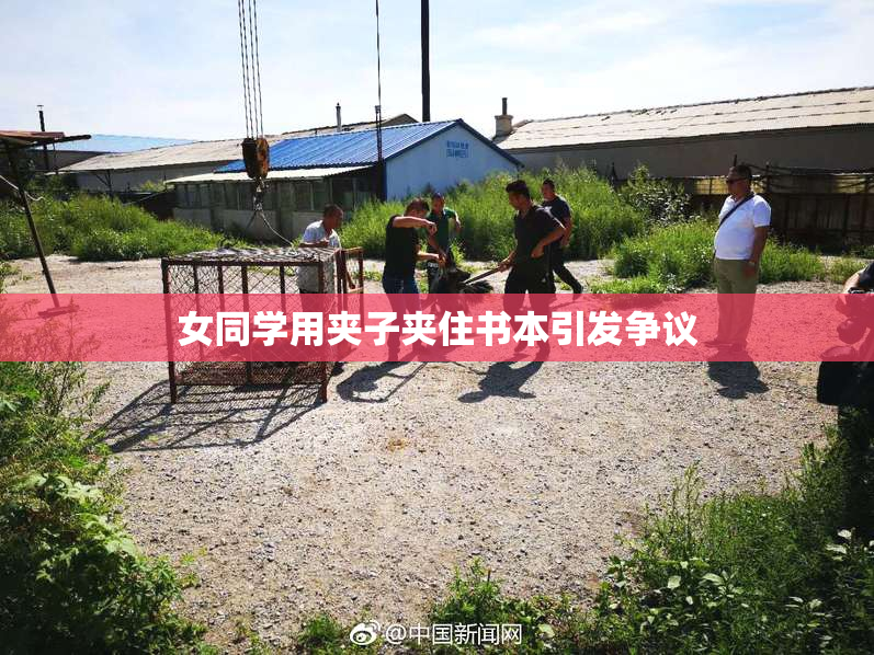 女同学用夹子夹住书本引发争议