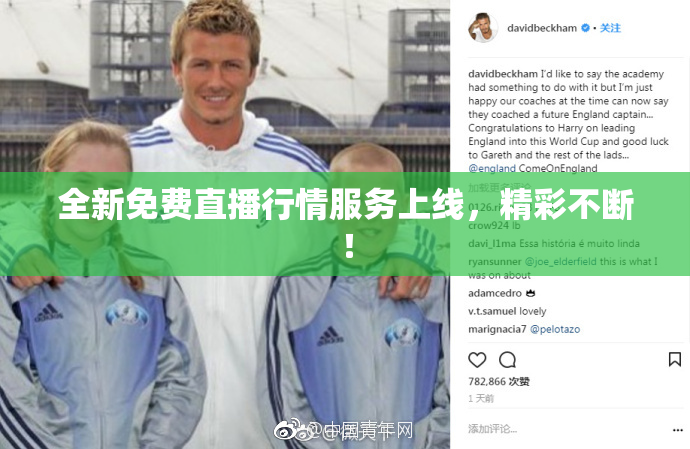 全新免费直播行情服务上线，精彩不断！