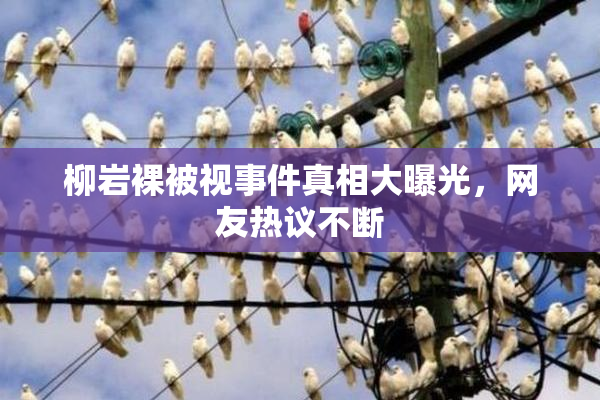 柳岩裸被视事件真相大曝光，网友热议不断