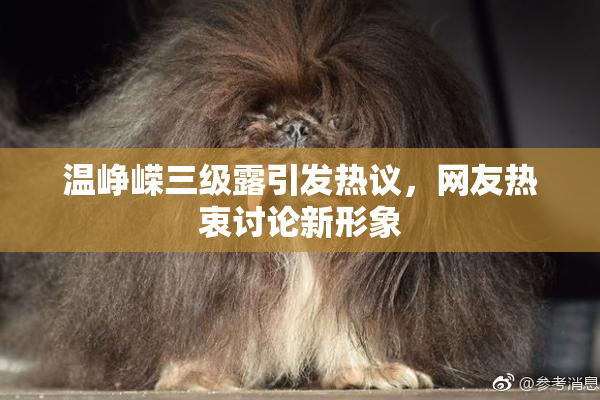 温峥嵘三级露引发热议，网友热衷讨论新形象