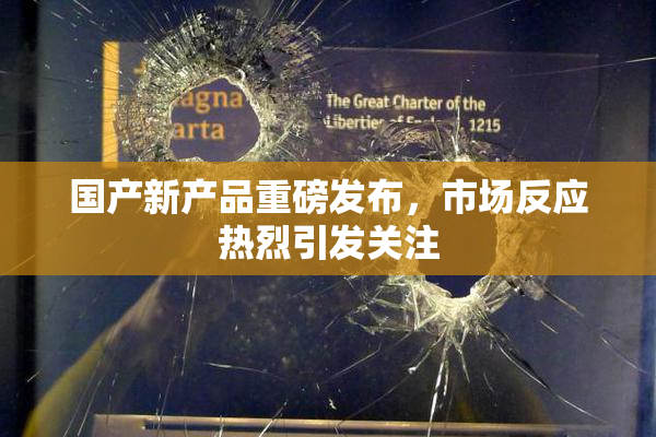国产新产品重磅发布，市场反应热烈引发关注