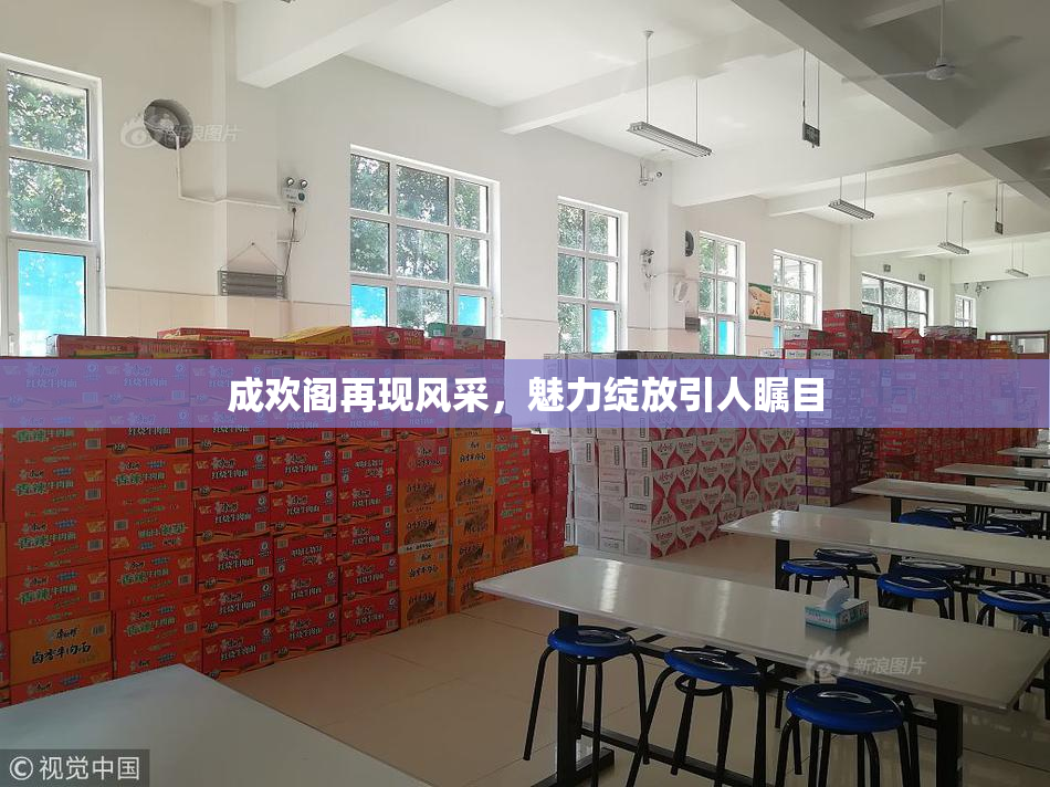 成欢阁再现风采，魅力绽放引人瞩目