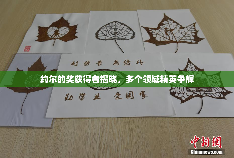 约尔的奖获得者揭晓，多个领域精英争辉