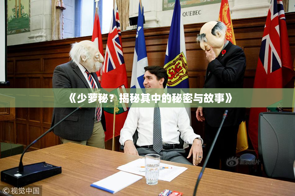 《少萝秘？揭秘其中的秘密与故事》