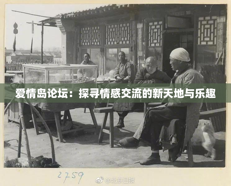 爱情岛论坛：探寻情感交流的新天地与乐趣