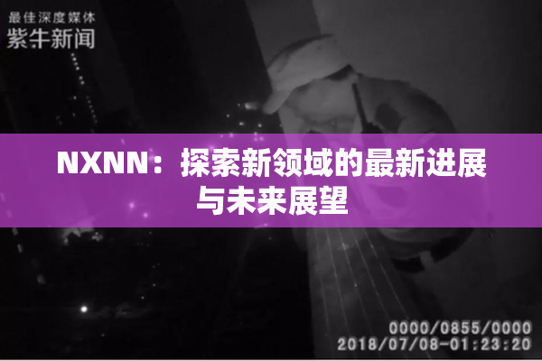 NXNN：探索新领域的最新进展与未来展望
