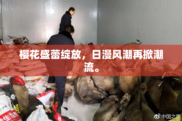 樱花盛蕾绽放，日漫风潮再掀潮流。