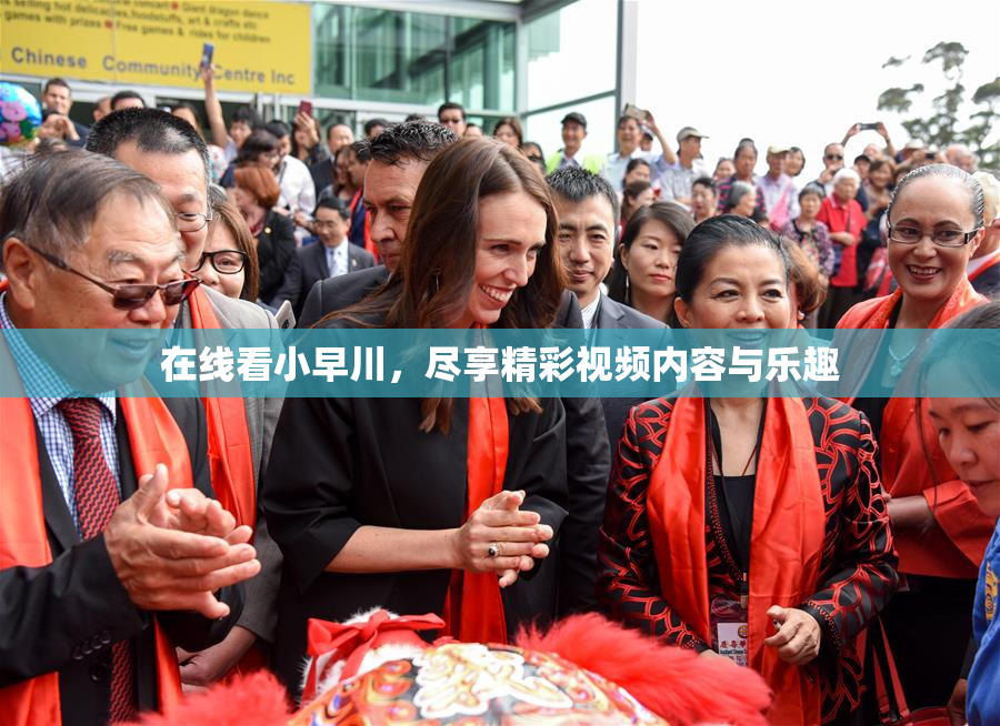 在线看小早川，尽享精彩视频内容与乐趣