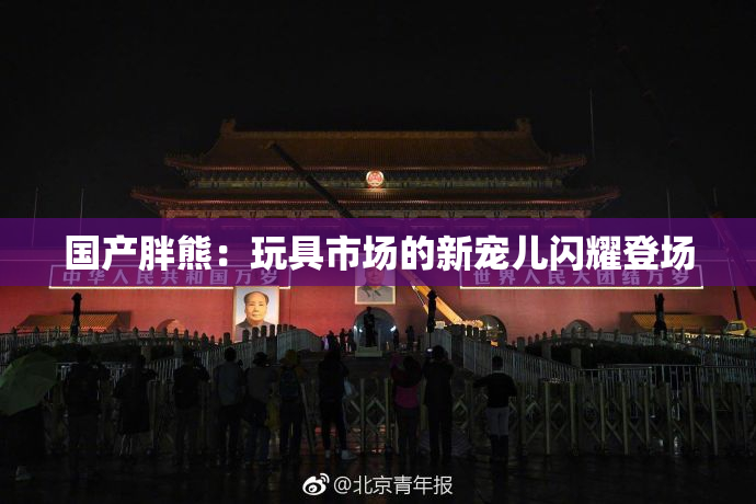 国产胖熊：玩具市场的新宠儿闪耀登场