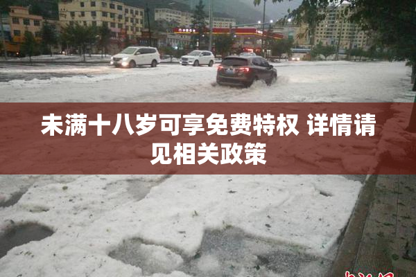 未满十八岁可享免费特权 详情请见相关政策