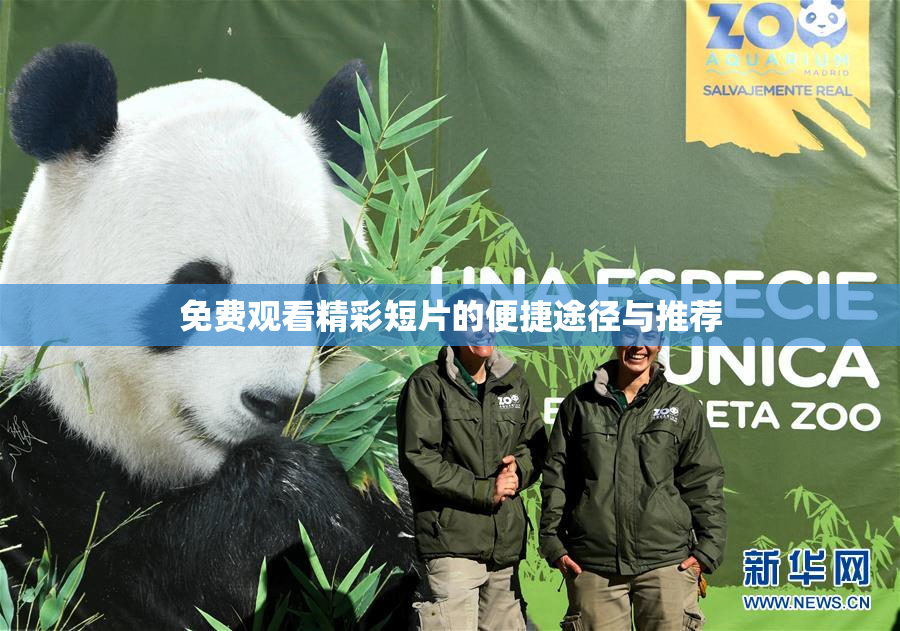 免费观看精彩短片的便捷途径与推荐