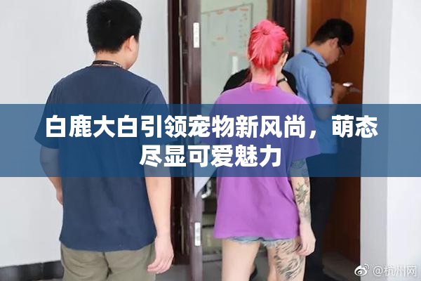 白鹿大白引领宠物新风尚，萌态尽显可爱魅力