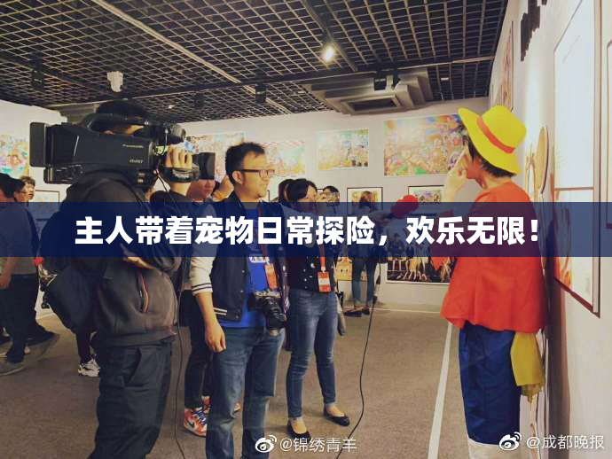 主人带着宠物日常探险，欢乐无限！
