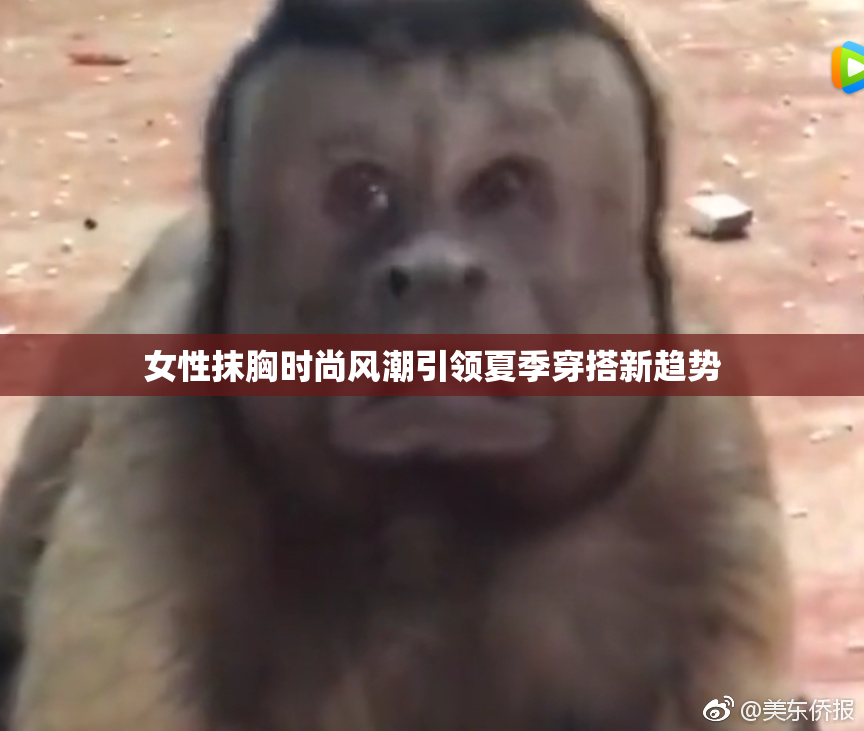 女性抹胸时尚风潮引领夏季穿搭新趋势