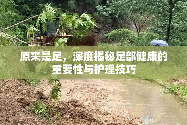 原来是足，深度揭秘足部健康的重要性与护理技巧