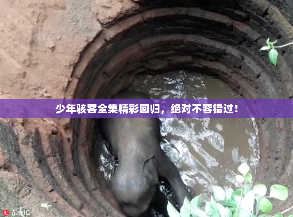 少年骇客全集精彩回归，绝对不容错过！