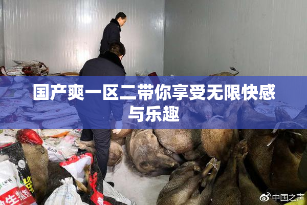 国产爽一区二带你享受无限快感与乐趣