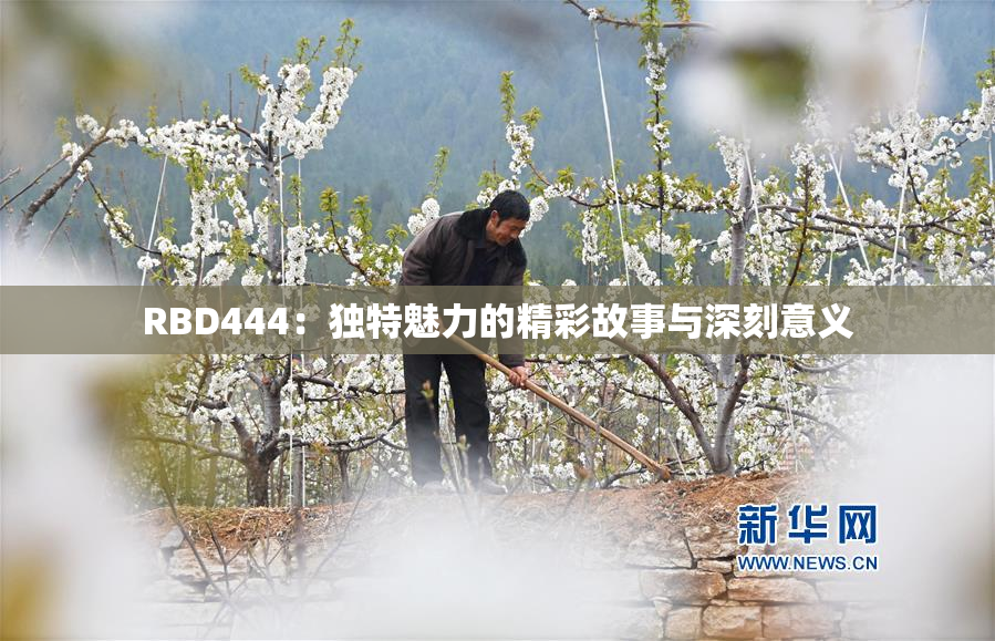 RBD444：独特魅力的精彩故事与深刻意义