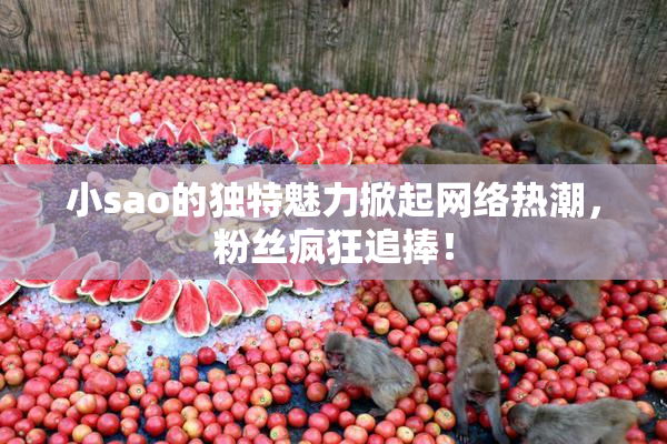 小sao的独特魅力掀起网络热潮，粉丝疯狂追捧！