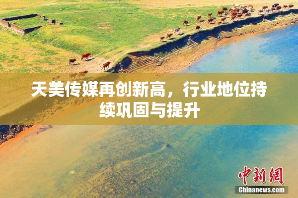 天美传媒再创新高，行业地位持续巩固与提升