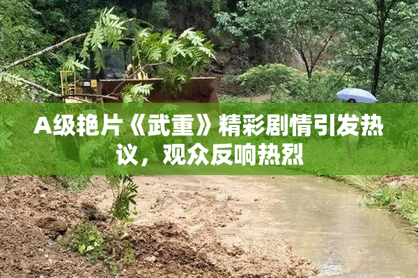 A级艳片《武重》精彩剧情引发热议，观众反响热烈