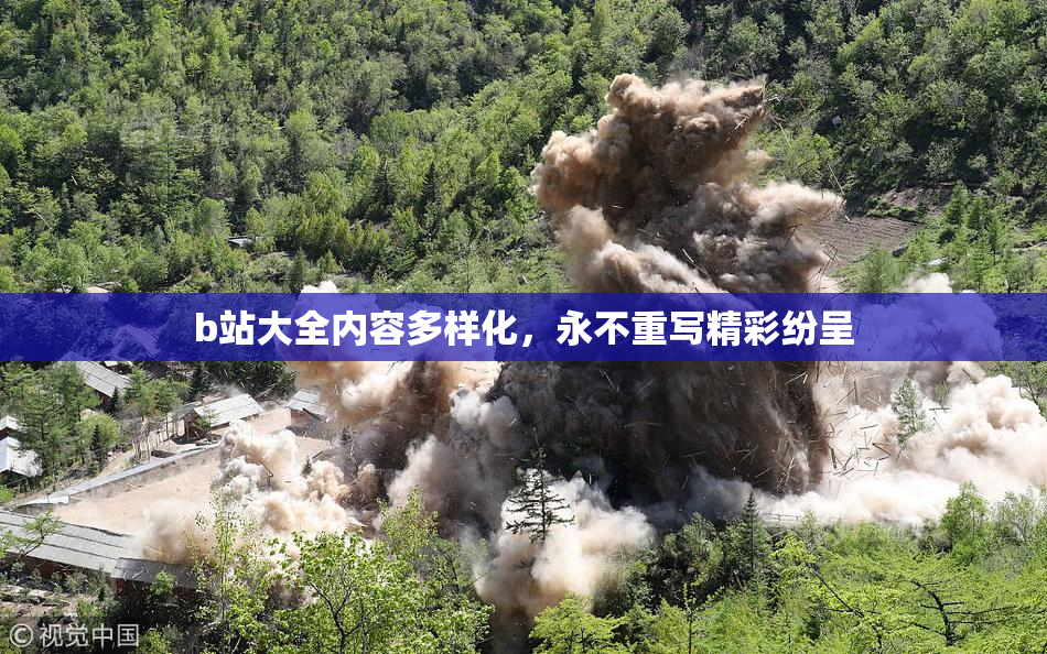 b站大全内容多样化，永不重写精彩纷呈