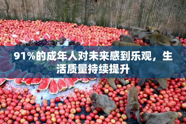 91%的成年人对未来感到乐观，生活质量持续提升