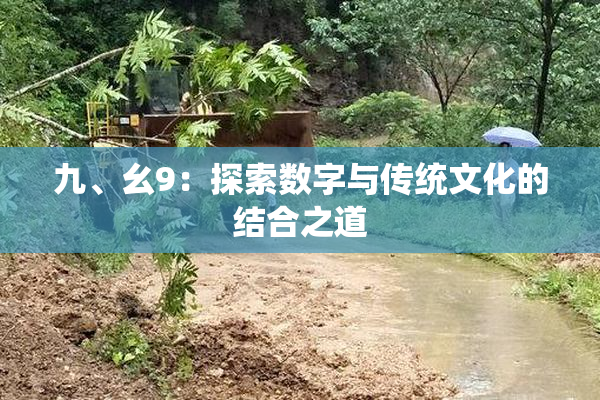 九、幺9：探索数字与传统文化的结合之道