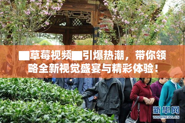 ▇草莓视频▇引爆热潮，带你领略全新视觉盛宴与精彩体验！