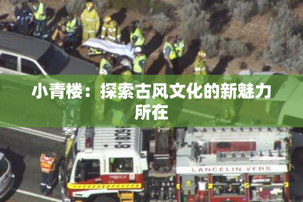 小青楼：探索古风文化的新魅力所在