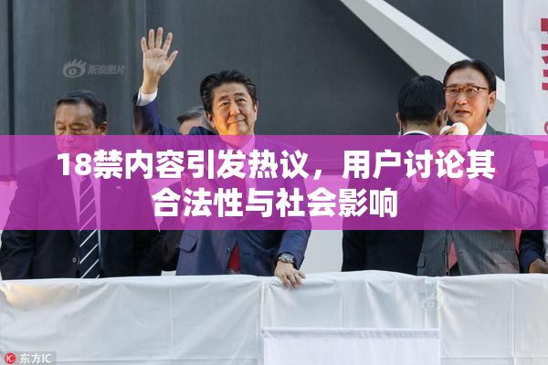 18禁内容引发热议，用户讨论其合法性与社会影响