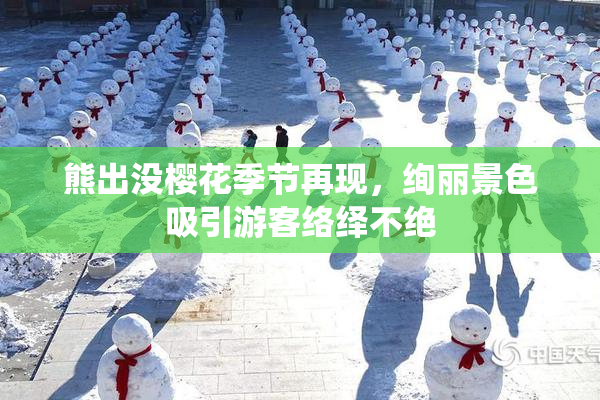 熊出没樱花季节再现，绚丽景色吸引游客络绎不绝