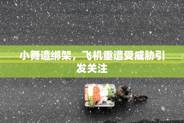 小舞遭绑架，飞机重遭受威胁引发关注
