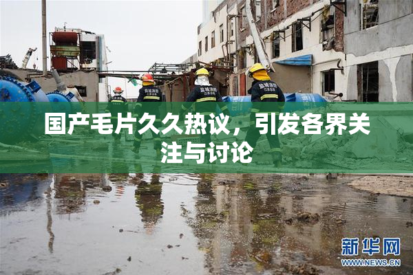 国产毛片久久热议，引发各界关注与讨论