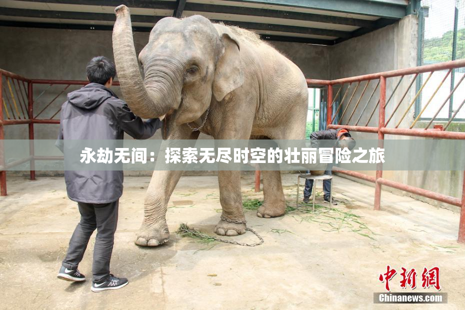 永劫无间：探索无尽时空的壮丽冒险之旅