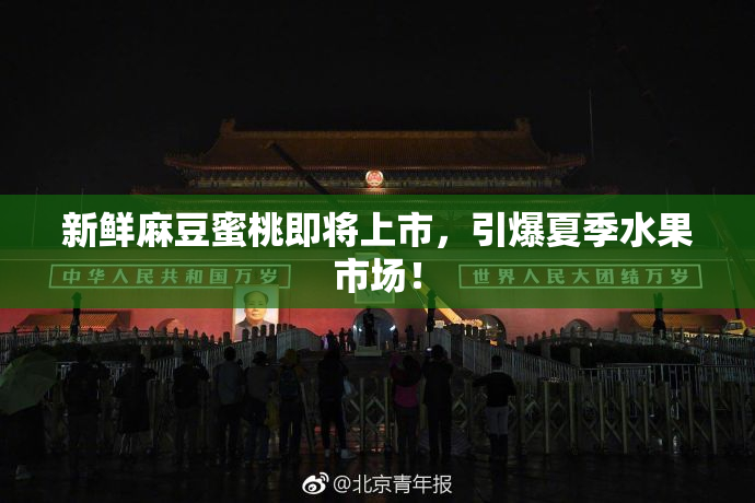 新鲜麻豆蜜桃即将上市，引爆夏季水果市场！