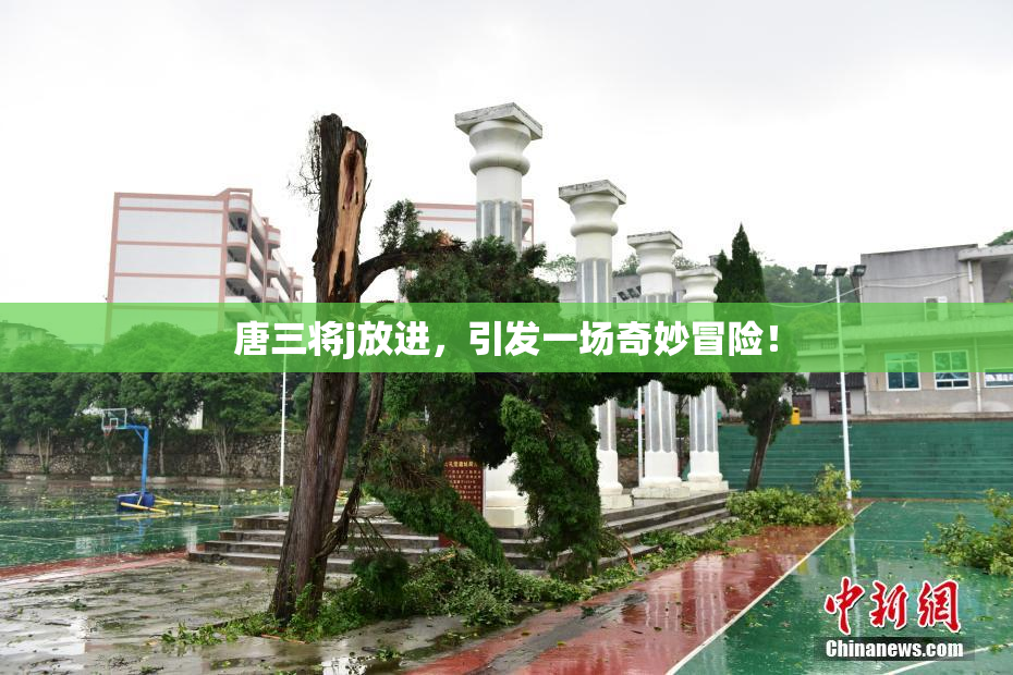 唐三将j放进，引发一场奇妙冒险！
